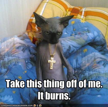 Funny and Geeky Cool Pics-funny-pictures-cat-does-not-like-wear-cross1.jpg