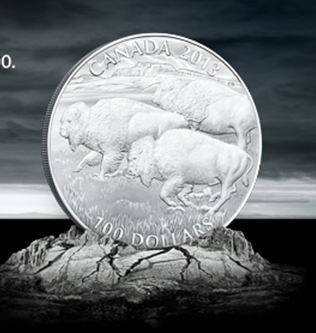 Personal request for a friend-2013_canada_bison_100_dollars.jpg