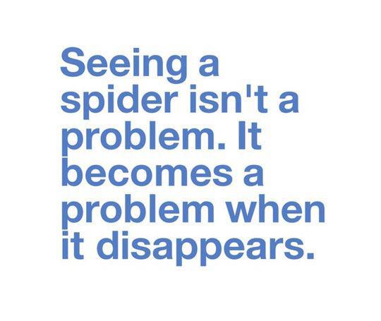 Funny and Geeky Cool Pics [3]-spider.jpg