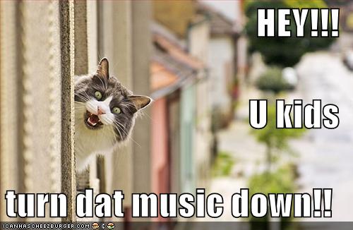 CATZ only.-funny-pictures-cat-asks-you-turn-music-down.jpg