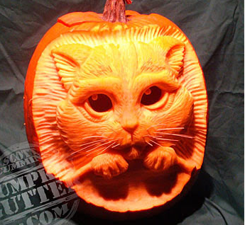 Pumpkin Carving-pumpkin-carving-cat.png
