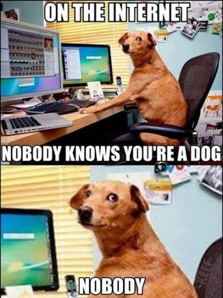 Funny and Geeky Cool Pics [3]-dog-internet.jpg