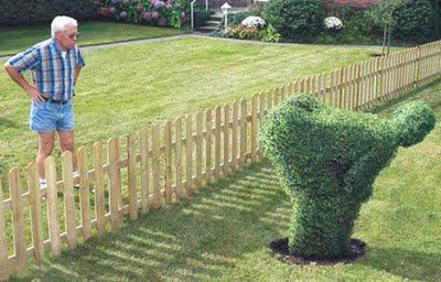 Funny and Geeky Cool Pics [3]-bush.jpg