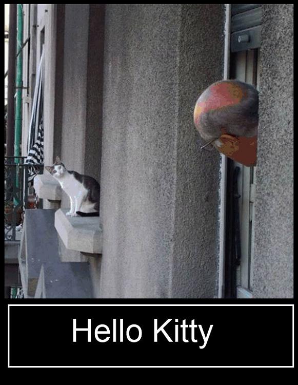 Funny and Geeky Cool Pics [3]-hello-kitty.jpg