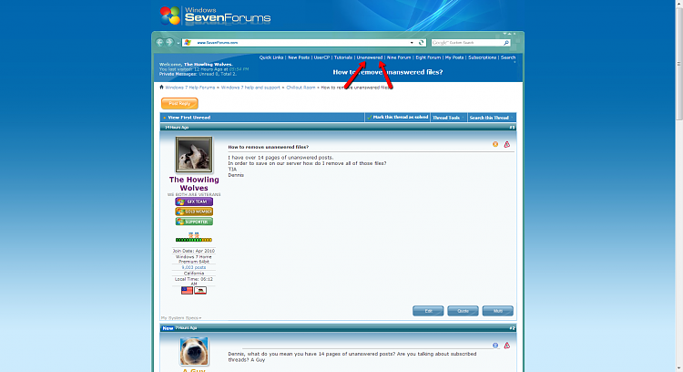 How to remove unanswered files?-2013-11-18_0615.png