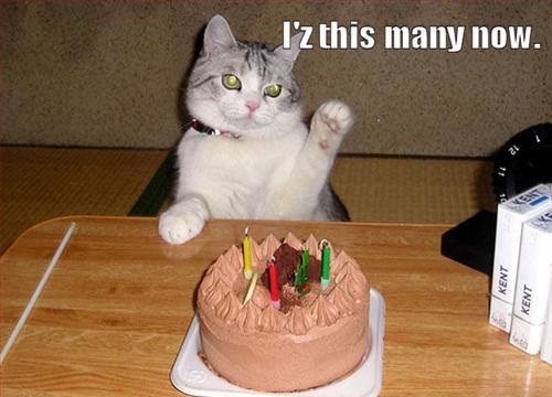 Happy 5th Birthday, Joan-cat.jpg