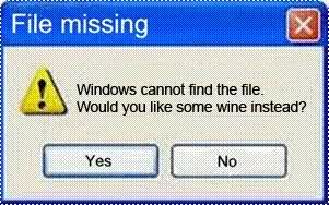 Missing File?-windows_winerrormsg.jpg