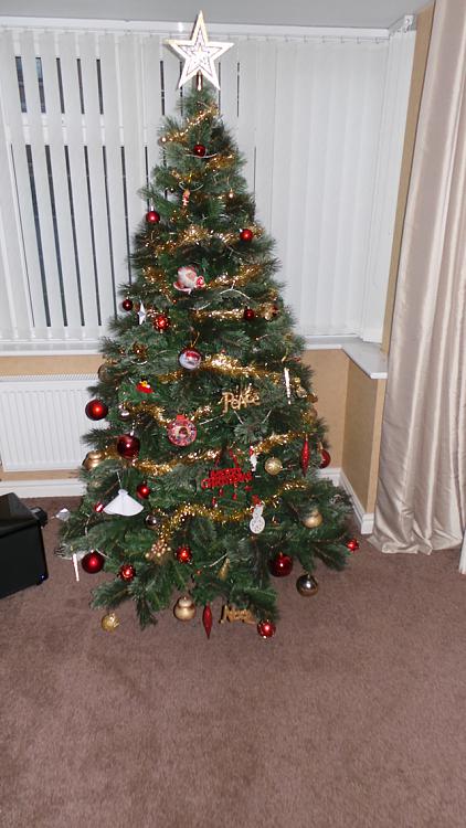 show us your tree 2013-tree.jpg