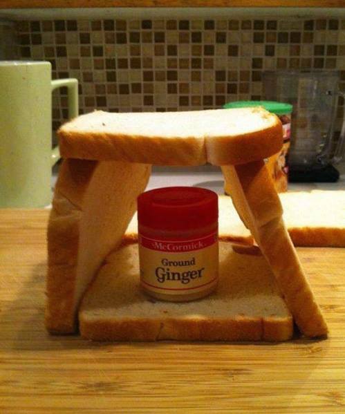 Funny and Geeky Cool Pics [3]-gingerbread-house.jpg