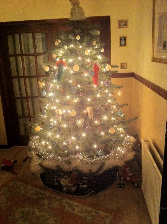 Show us your tree!-imageuploadedbyseven-forums1388244644.067685.jpg