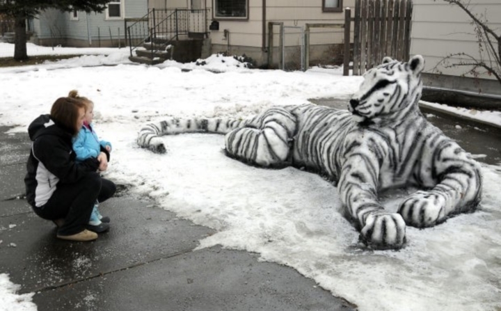 Funny and Geeky Cool Pics [3]-snow-tiger.jpg