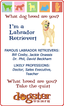 which Dog Breed are you-badge_lab.png