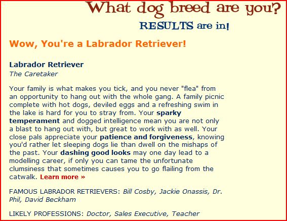 which Dog Breed are you-capture.jpg