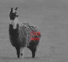 Winamp Easter Egg-llama.png