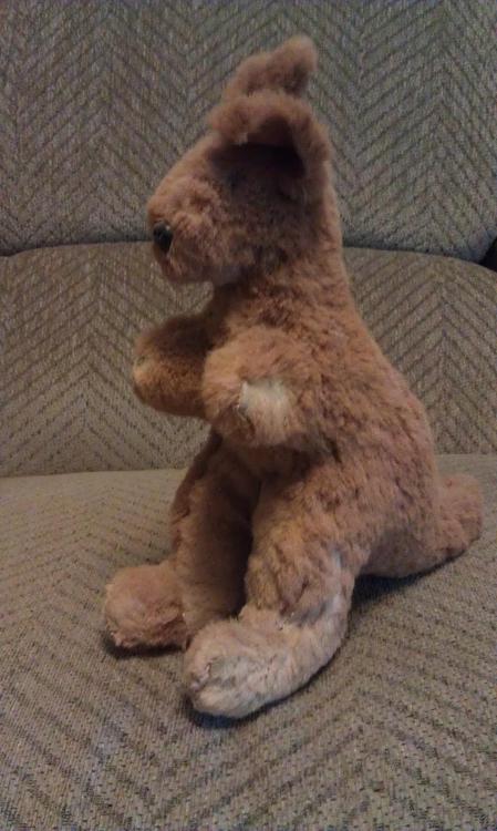 Give my Kangaroo a name-imag0338.jpg