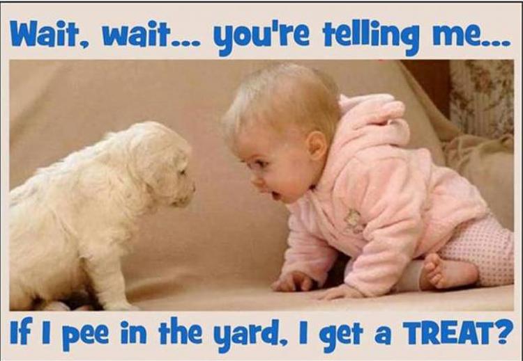 Funny and Geeky Cool Pics [3]-if-i-pee-yard.jpg