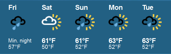 How's your weather-summer.png