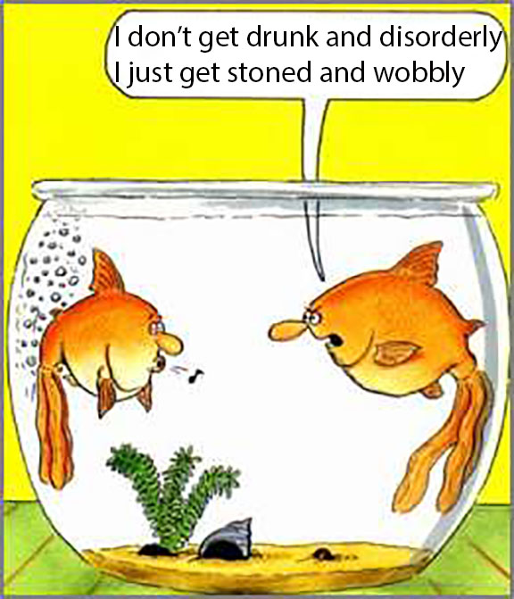 Jokes Thread [4]-wobbly-fish.jpg