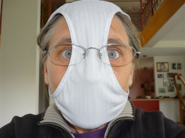 Emergency Swine Flu Mask-swine_flu_mask.jpg