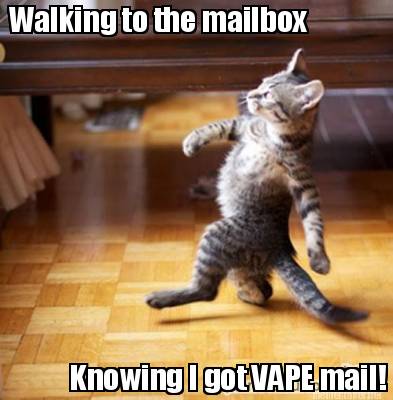 Any Vapers?-walking-mailbox.jpg
