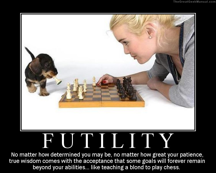 Motivation of the humourous-motivational-poster-futility-wisdom.jpg