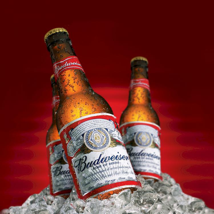 Remembering ...-budweiser_bottles_on_ice_sticker__49017.jpg