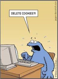 Last Letter Game - Computer Terms Only !-delete-cookies.png