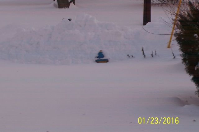 Snowmageddon: Jan 23rd 2016, PA - DE - VA - MD - NJ - NY - MA - CT- RI-1_24_16-blizzard-2016_06.jpeg