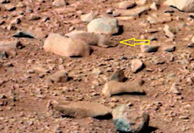 Space stuff thread-mars-rabbits.jpg