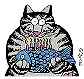 Happy Birthday Brink-birthday-cat.jpg