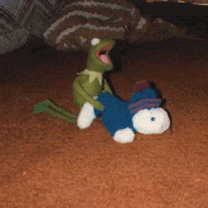 Funny and Geeky Cool Pics [4]-whosyourfroggy.gif
