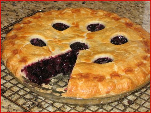 My 300th post!!-blueberry-pie.jpg