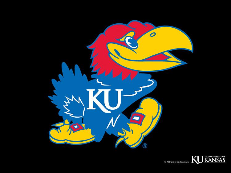 What football team do you support?-ku_jayhawk_1024x768.jpg