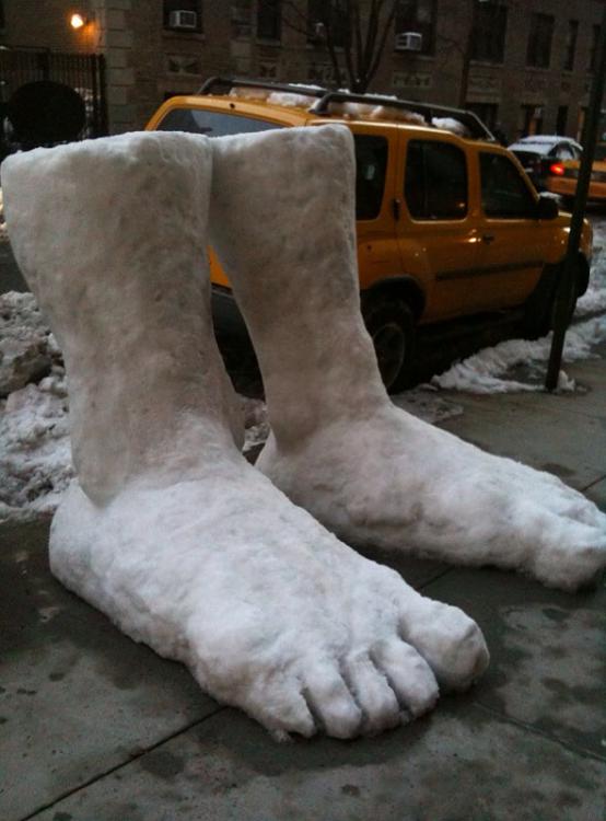 Another Two Feet Of Snow In NY-snow.jpg