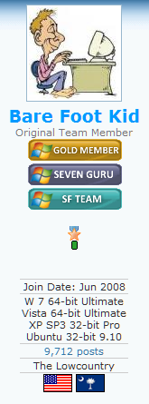 Reputation and Badges-bfk_medal_01.png