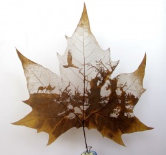 Leaf Carvings-8.jpg