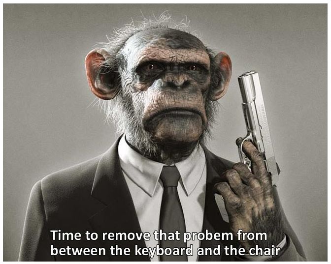 Jokes Thread-gangsta-chimp.jpg