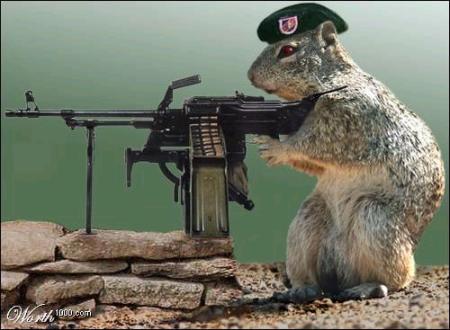 Panda-monium!-squirrel_with_machine_gun.jpg