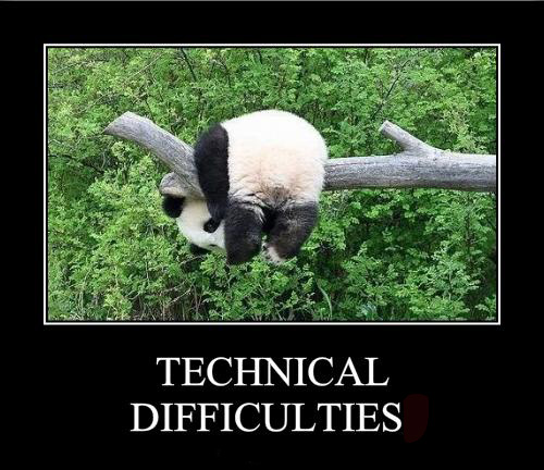 Panda-monium!-panda-has-technical-difficulties.jpg
