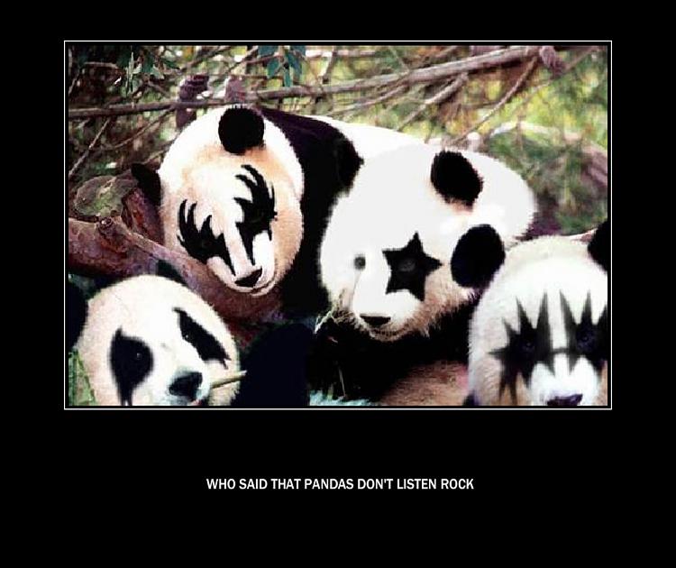 Panda-monium!-pandas1.jpg