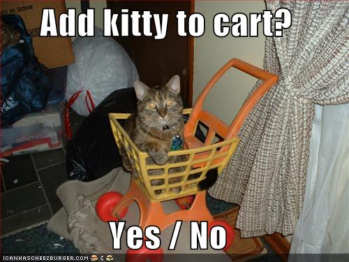 Panda-monium!-funny-pictures-cat-shopping-cart.jpg