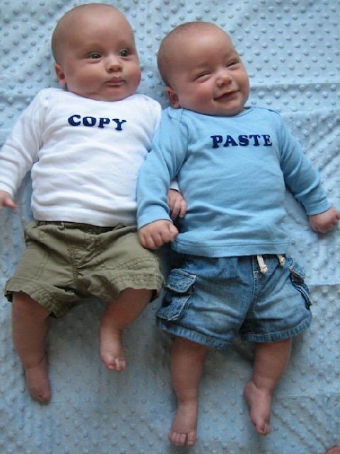 How Twins Are Made-1.jpg