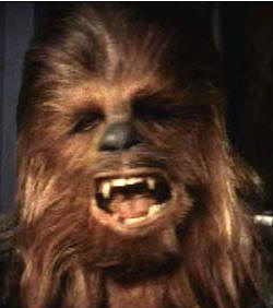 Quote of the Day-chewbacca.jpg