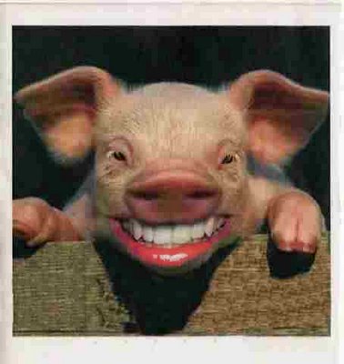 A good laugh&#8207;-pig-lipstick.jpg