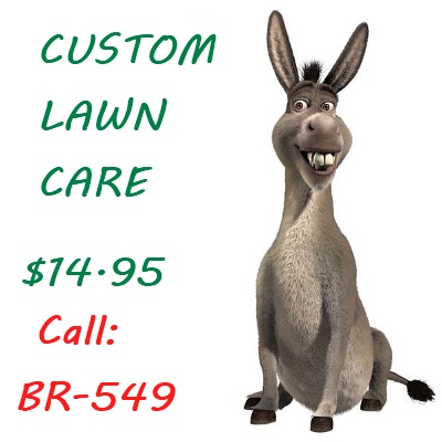 Today [4]-donkey_lawn_care.jpg