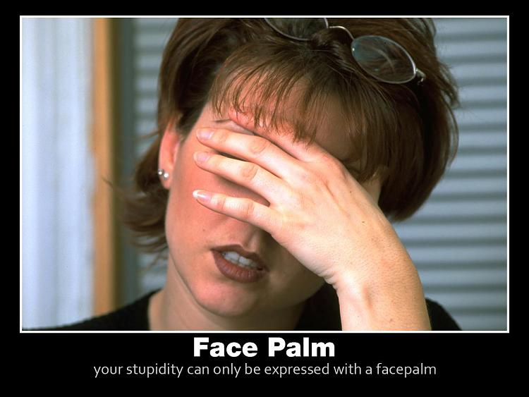 Collection of Facepalms-025.jpg