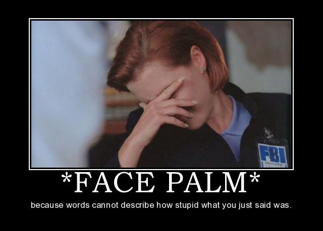 Collection of Facepalms-029.jpg