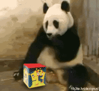 Our fellow geek Kari-pandascaremm0.gif