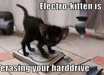 Funny and Geeky Cool Pics-funny-pictures-kitten-erases-your-hard-drive.jpg