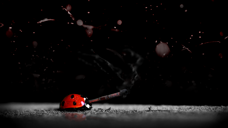 Custom Made Wallpapers-ladybird-tank-1920.png